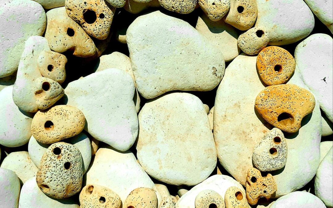 Written In Sand – Create Art From Nature with Winston Plowes