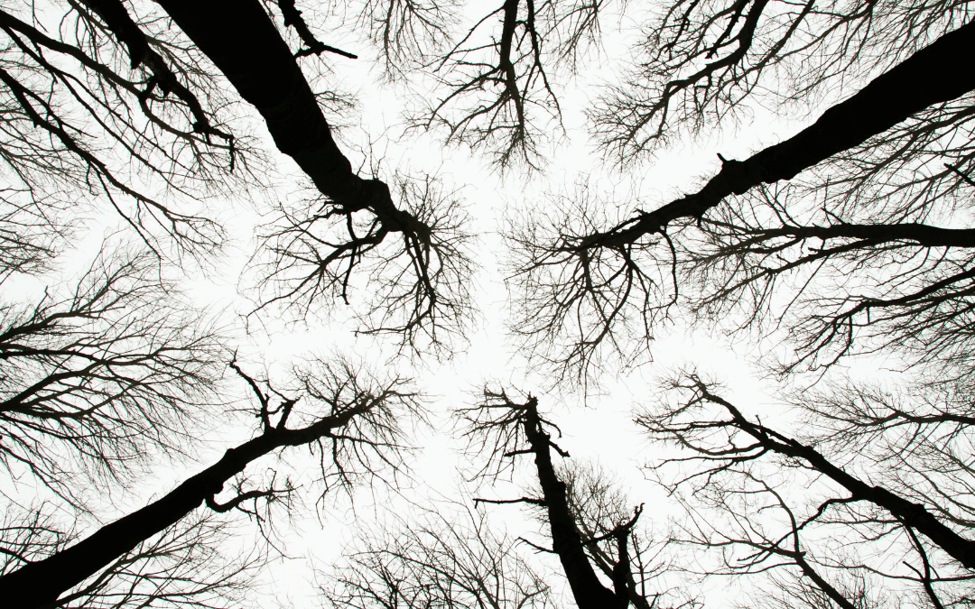 Exploring Folklore at Burnley Library